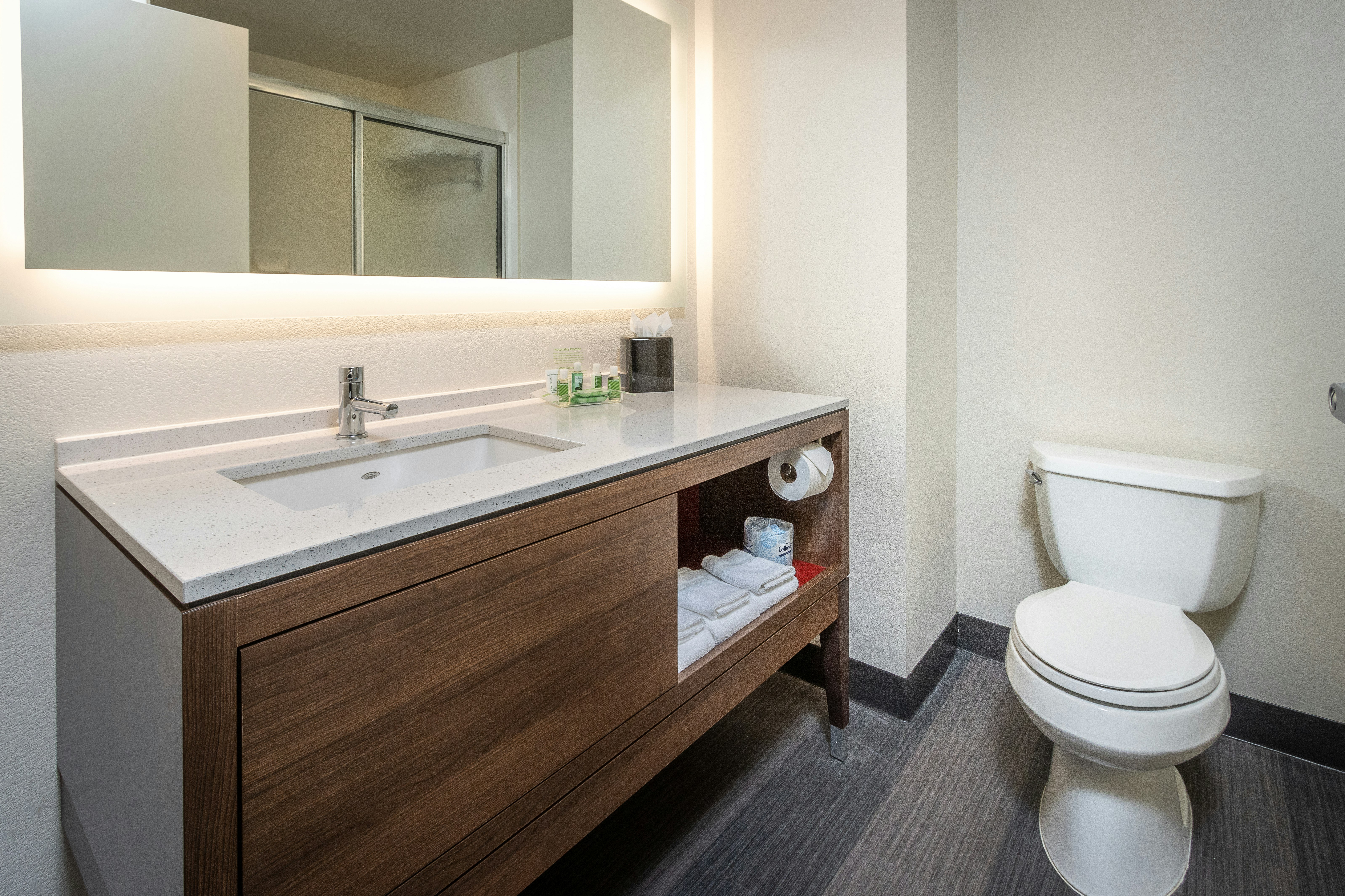 Holiday Inn Suites Memphis Wolfchase Galleria 78/79