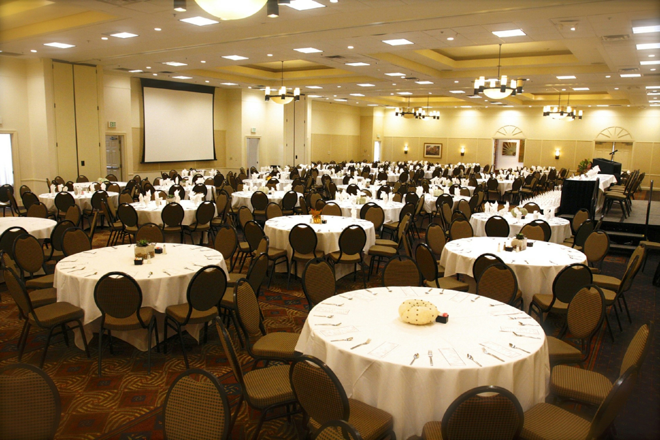 Hilton Garden Inn Albany Hotel 28/45