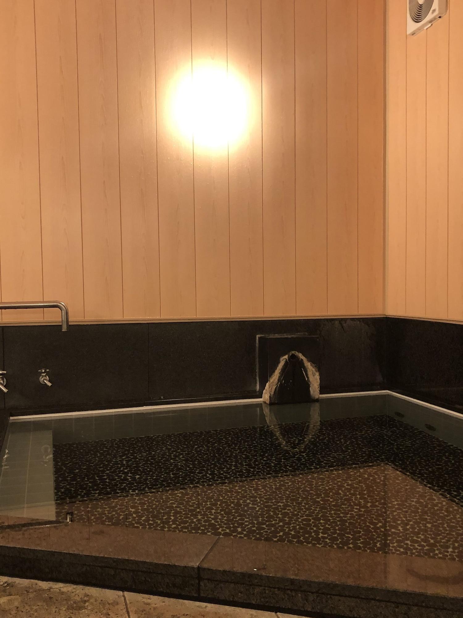 Shinshu Shimosuwa Onsen Gingetsu 13/18