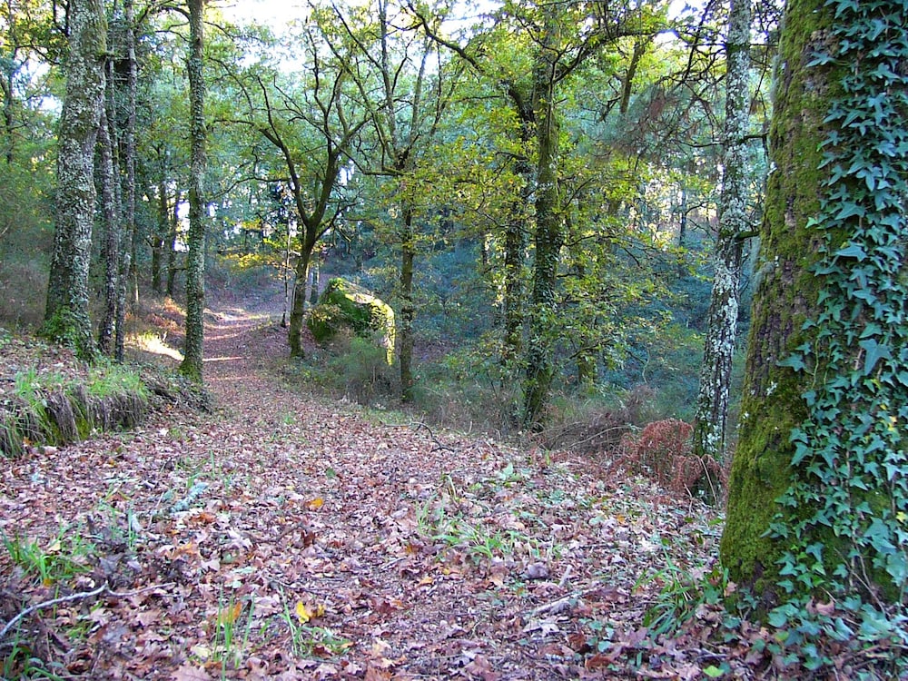 surroundings