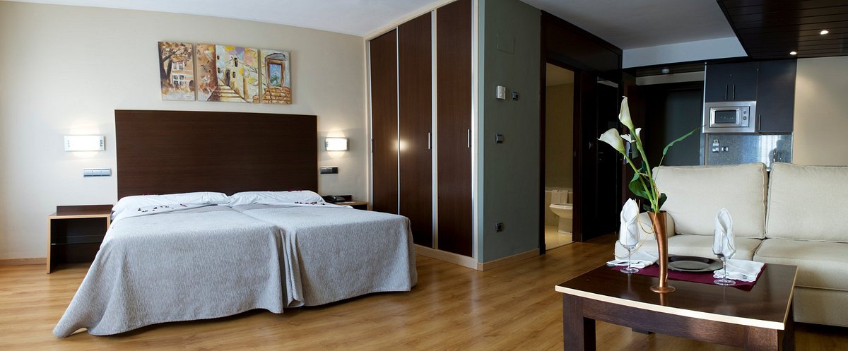 Hotel Ciudad de Sabinanigo 9/30