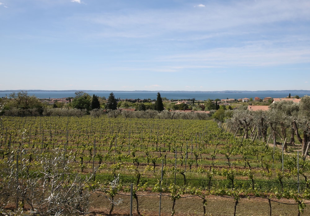 Appartamenti Vignol 1 26/43