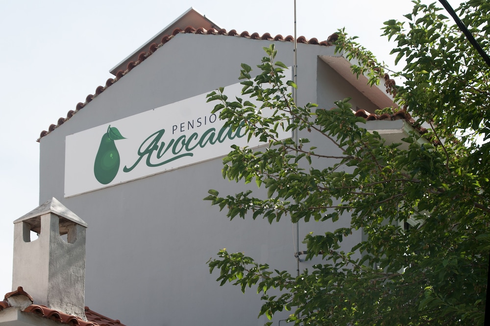 Pension Avocado 2/59