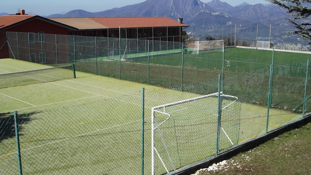 Belvedere 29/43