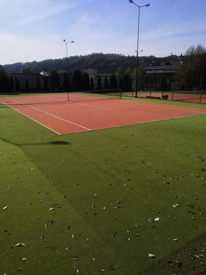 Geovita Zlockie 36/60
