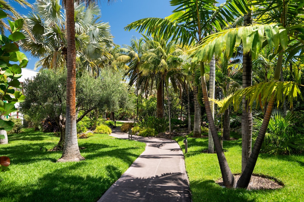 Hacienda San Jorge 43/50