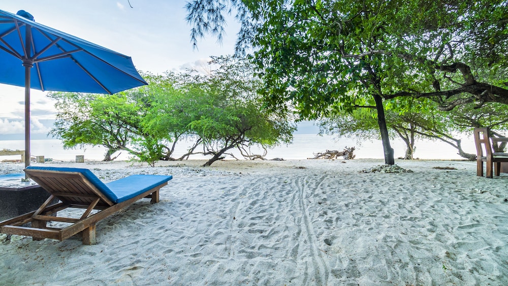 Alam Gili 36/50