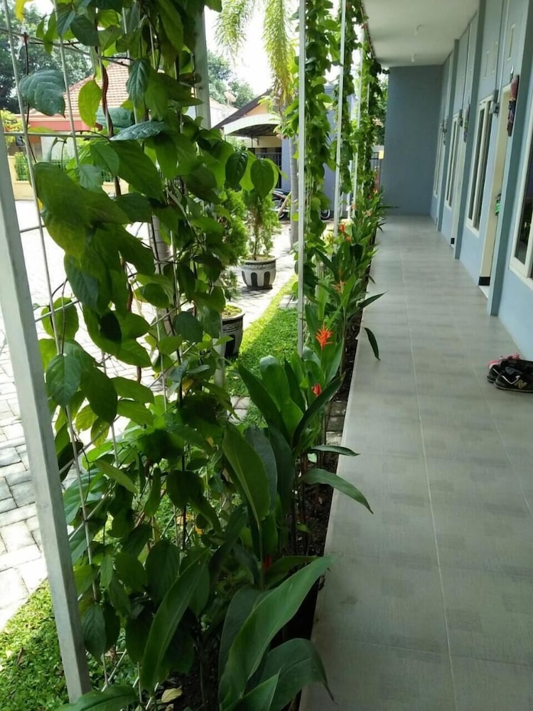 Clover Homestay 43/65