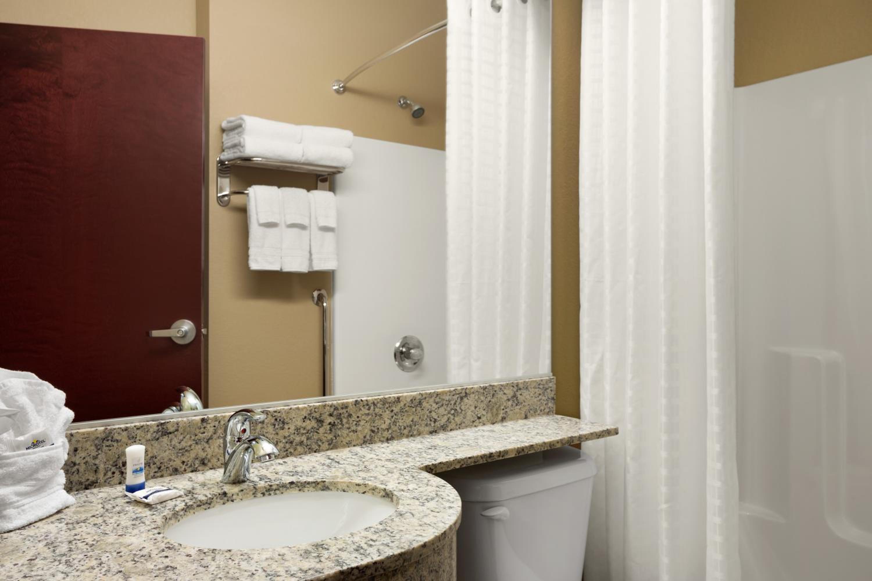 جناح استوديو بسرير كوين مع أريكة بمطبخ صغير لذوي الإعاقة، Microtel Inn Suites By Wyndham Carrollton 5/6