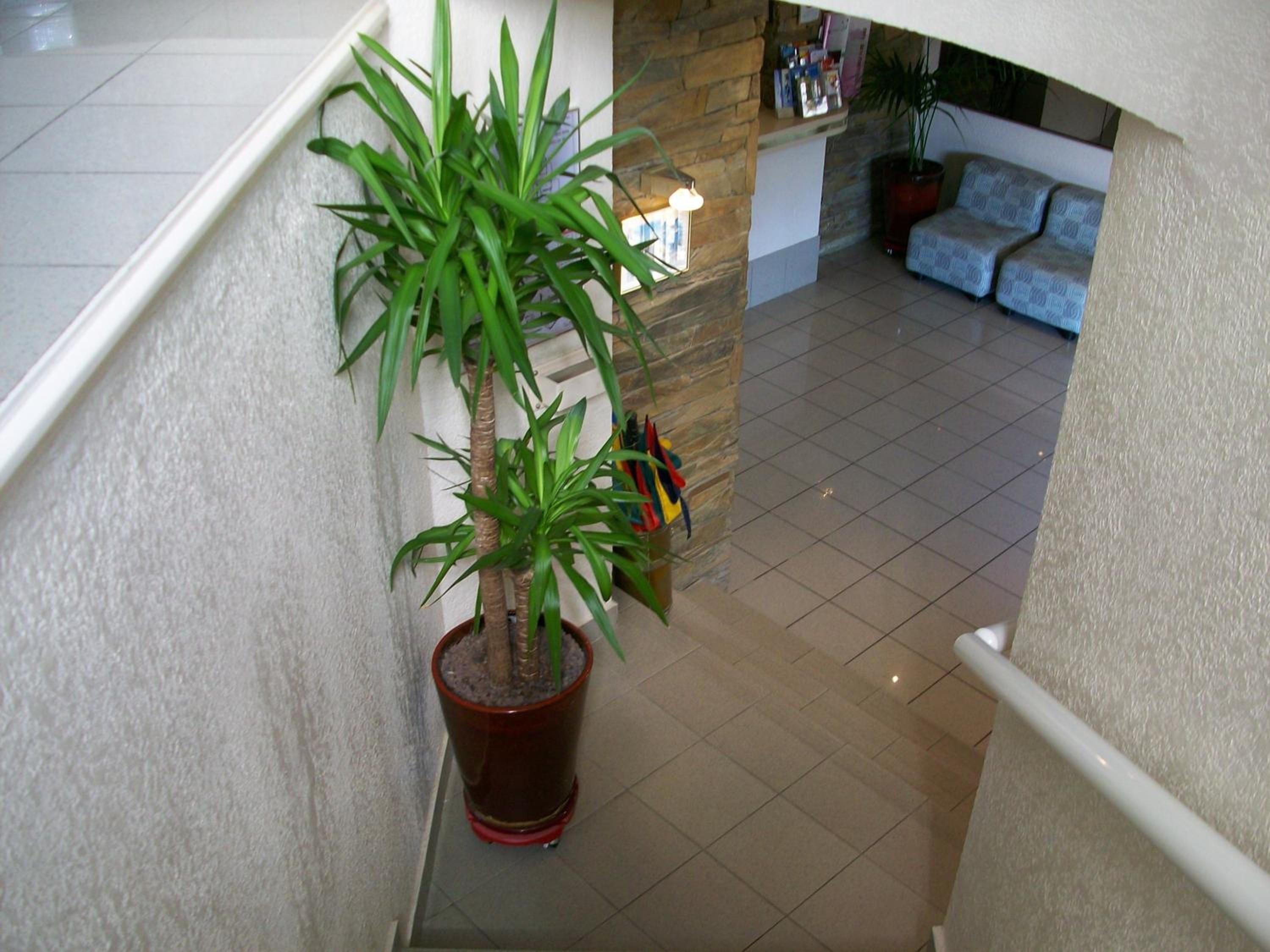 Hôtel Plage Des Pins 5/52