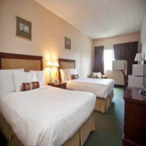 Strata Hotel (ex Thriftlodge Kingston) 13/52