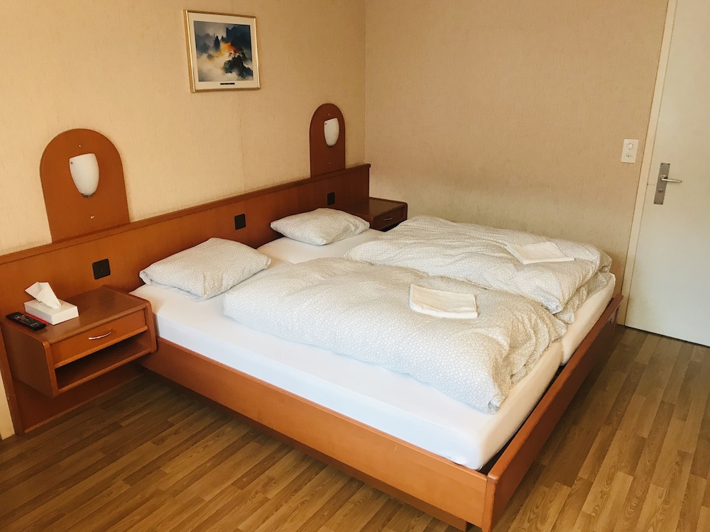 Park Hotel Bellevue Lenk 8/48