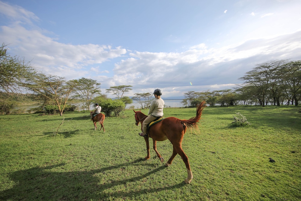 Lake Elmenteita Serena Camp 24/50