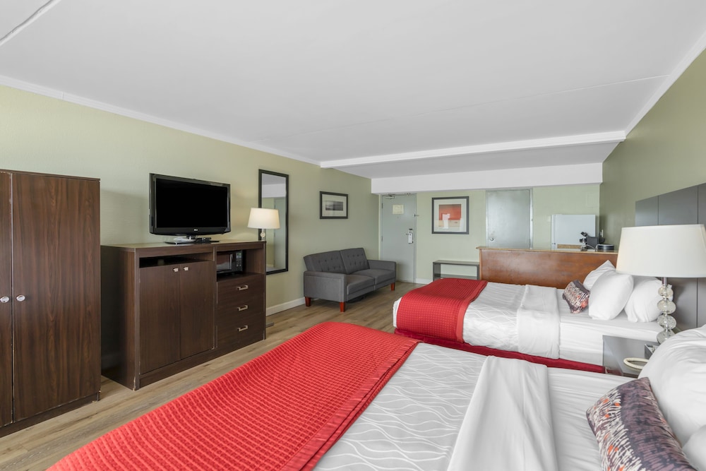 STUDIO, QUEEN BED