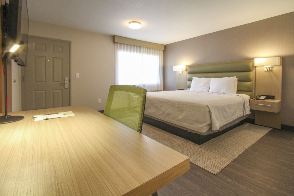 GreenTree Pasadena Inn 23/57