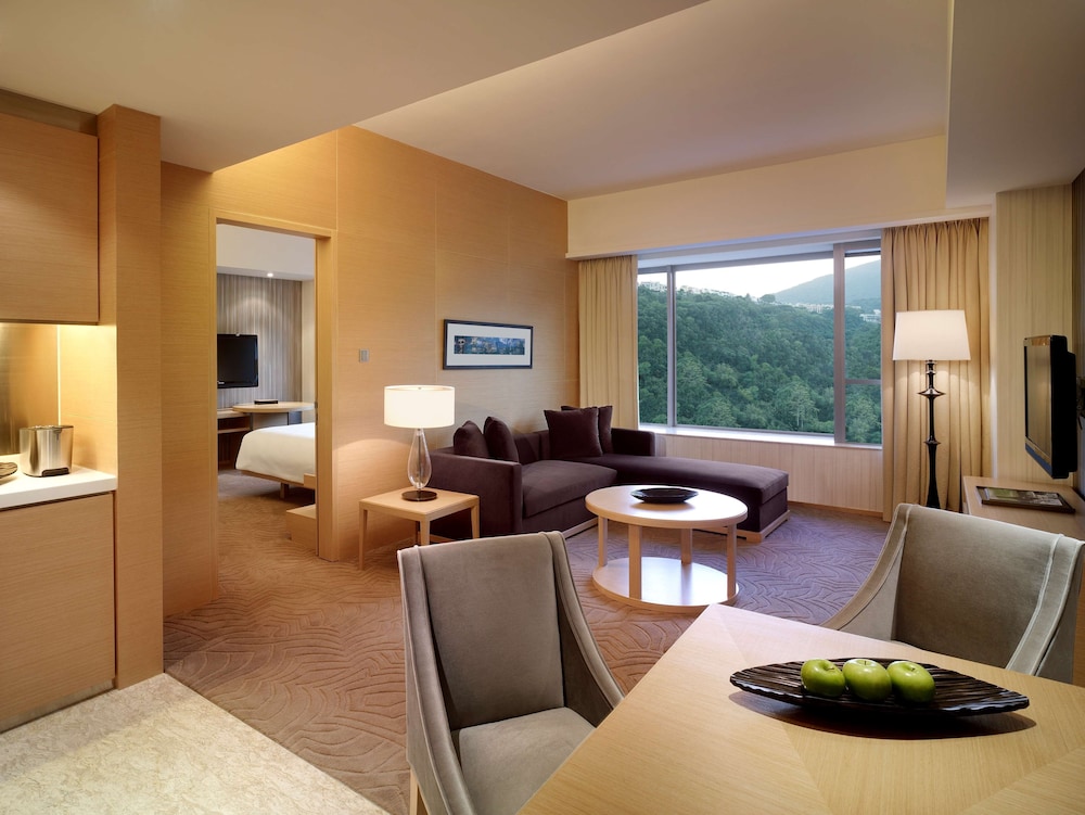 HYATT REGENCY HONG KONG SHA TIN 41/69