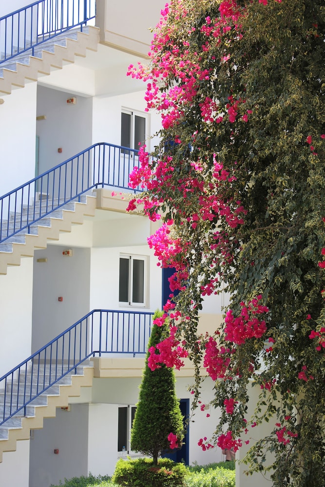 Sea Melody Beach Hotel And Apartments photo4