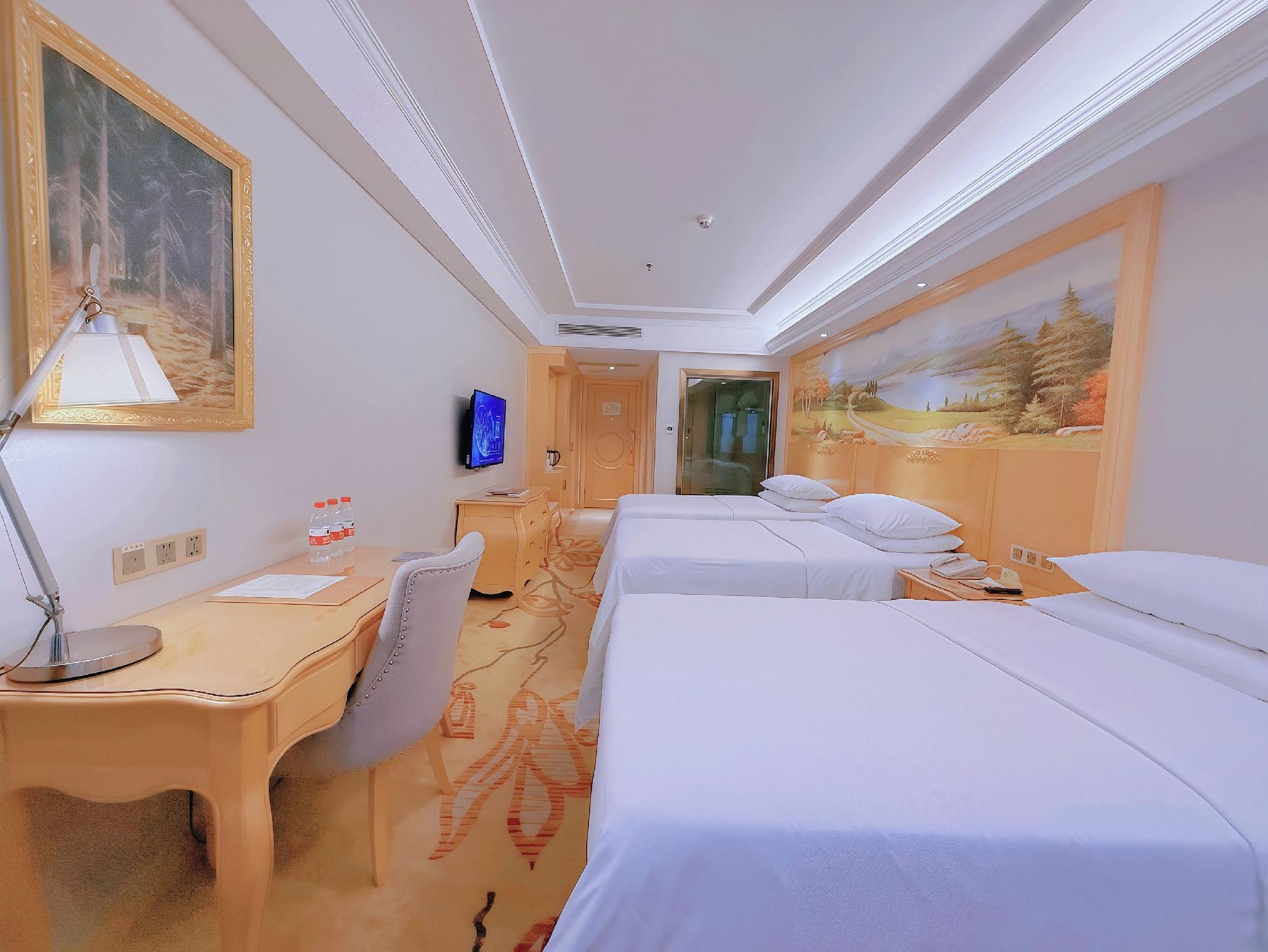 Vienna Hotel Huizhou (Huabianling Square Branch) 15/50