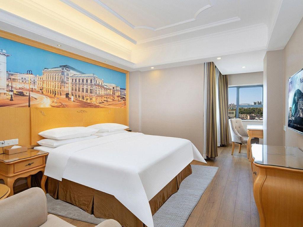 Vienna Hotel (Dongguan Dongcheng) 27/49