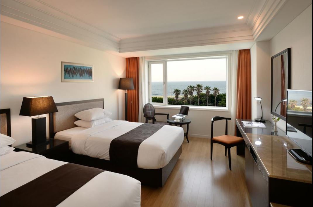 Deluxe Twin Ocean View