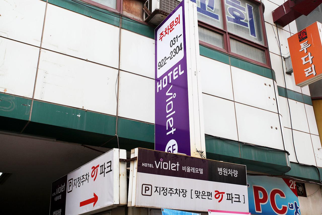 Hotel Violet 3/40