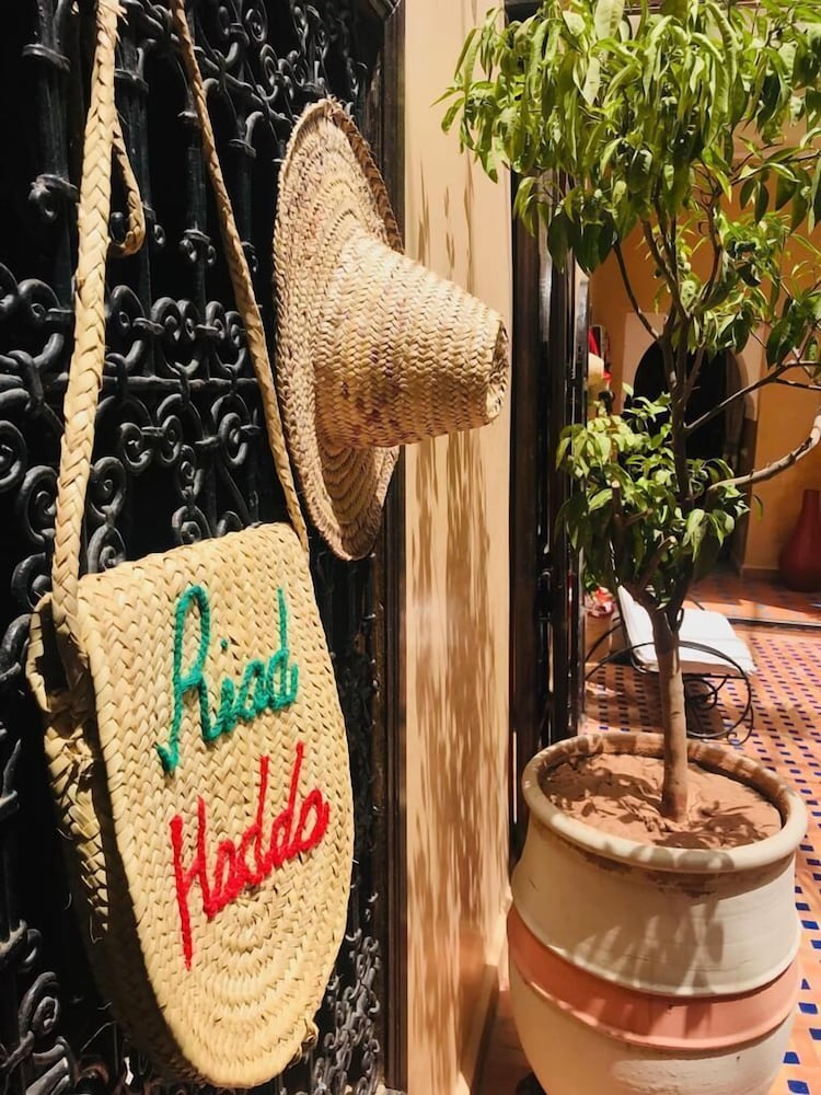 Riad Hadda 21/50