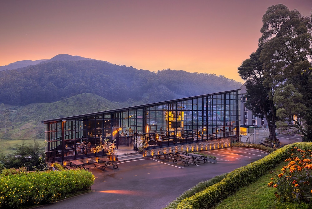 The Golden Ridge酒店(The Golden Ridge Hotel) 图片4