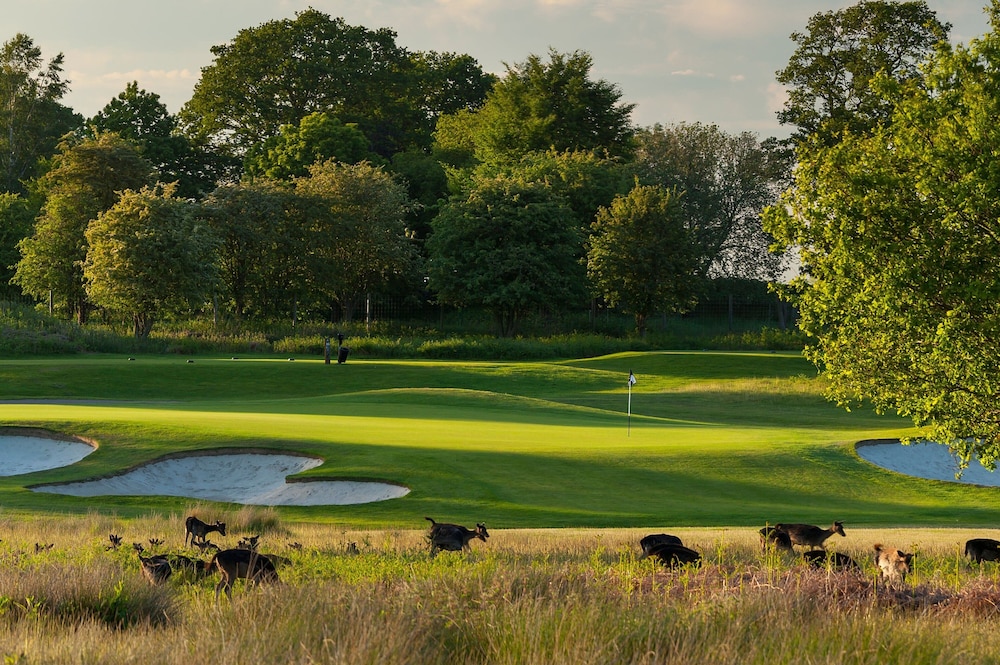 Forest of Arden Hotel and Country Club 21/59