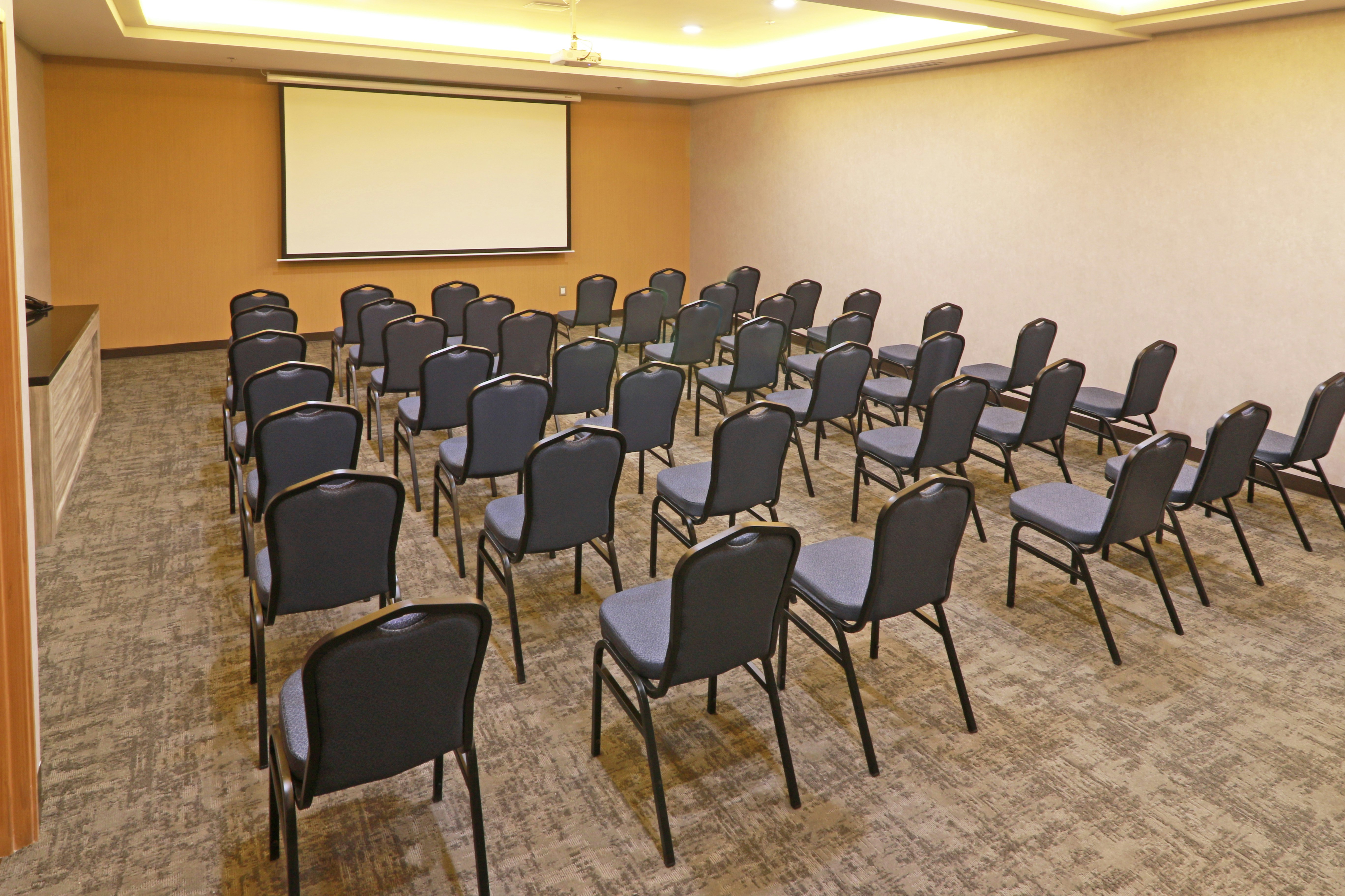 Holiday Inn Ciudad Juarez 37/50