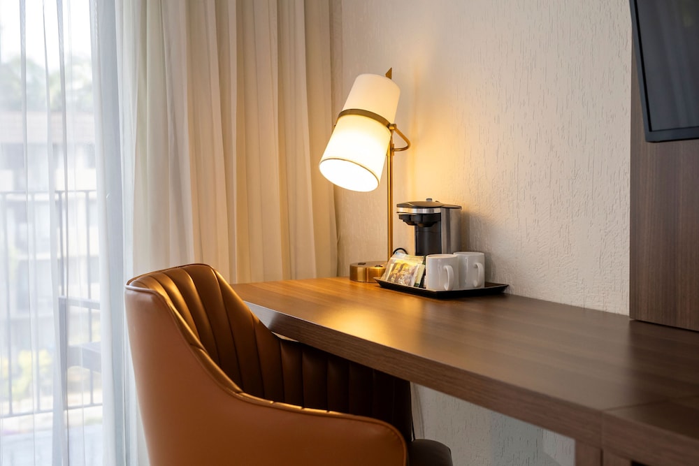 Holiday Inn San Jose La Sabana an IHG Hotel 18/47