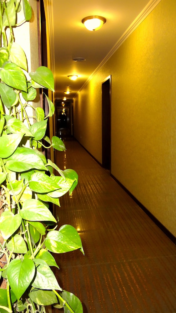Park Avenue Hotel 45/50