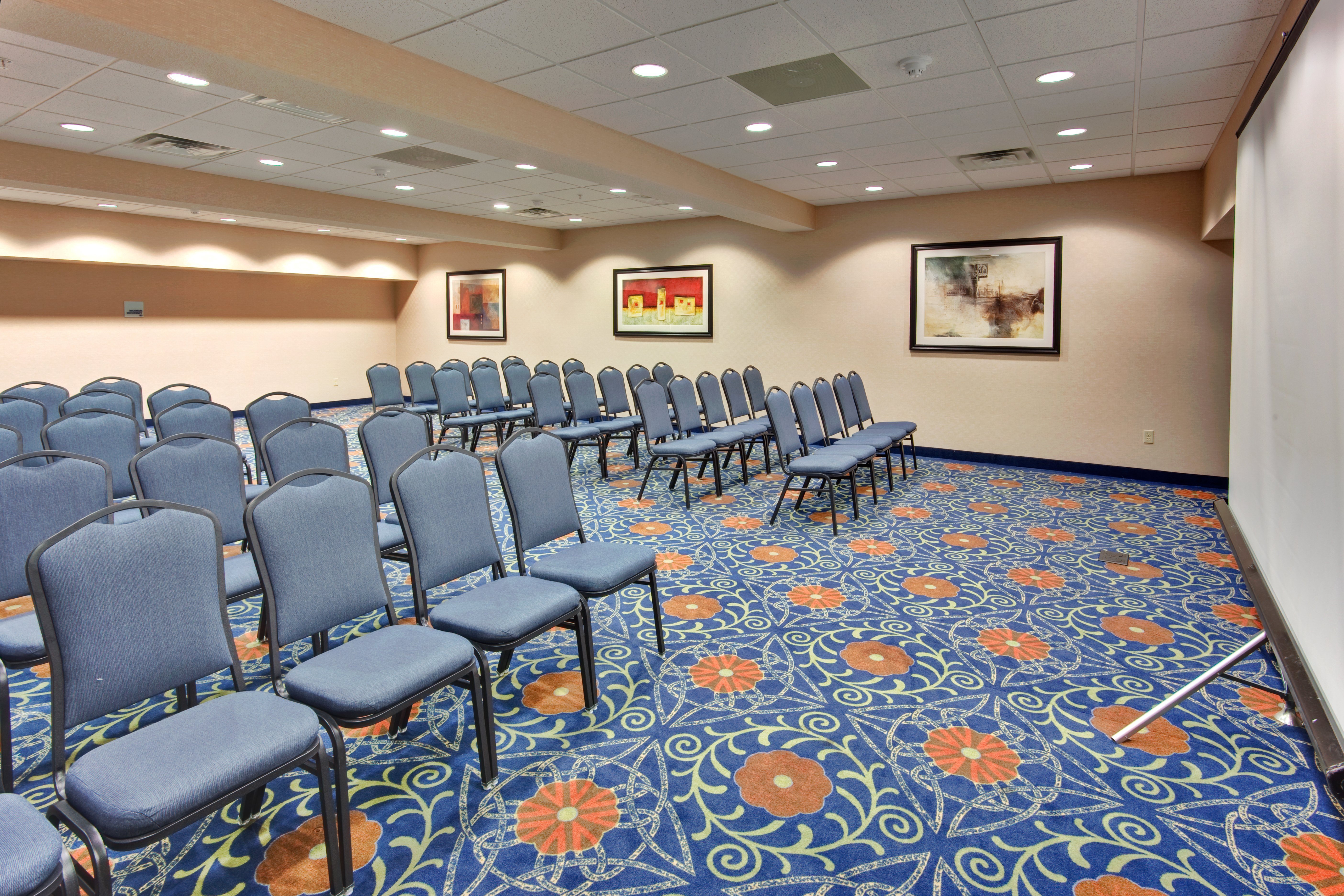 Holiday Inn Express Hotel & Suites Detroit-Novi 64/69