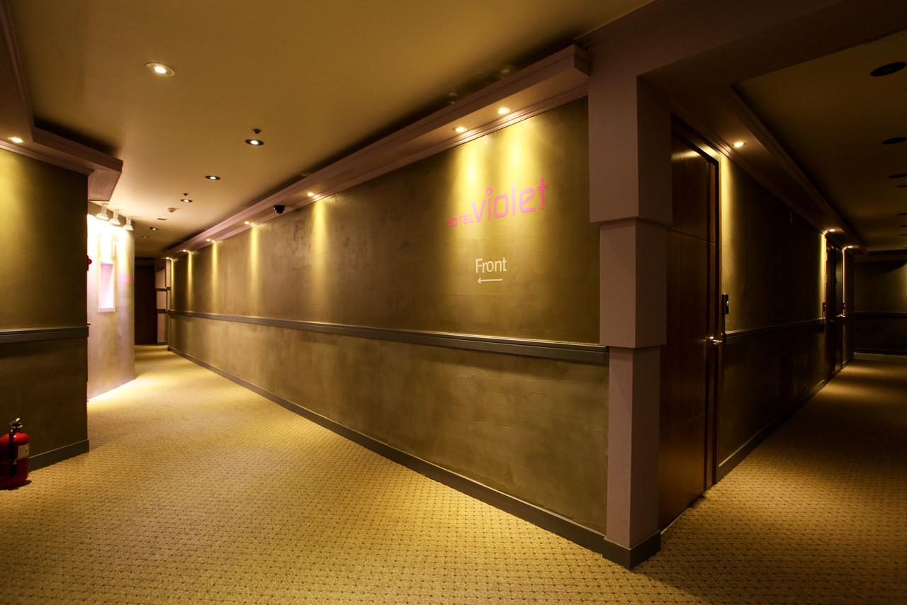 Hotel Violet 10/40