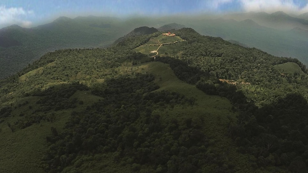 Wild Planet Jungle Resort 34/50