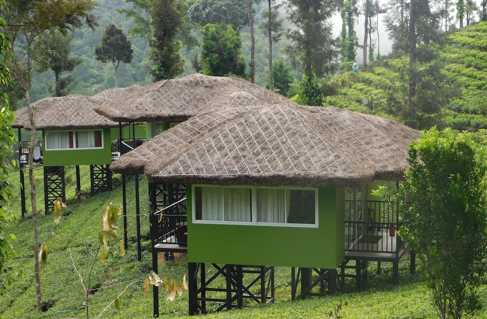 Wild Planet Jungle Resort 46/50
