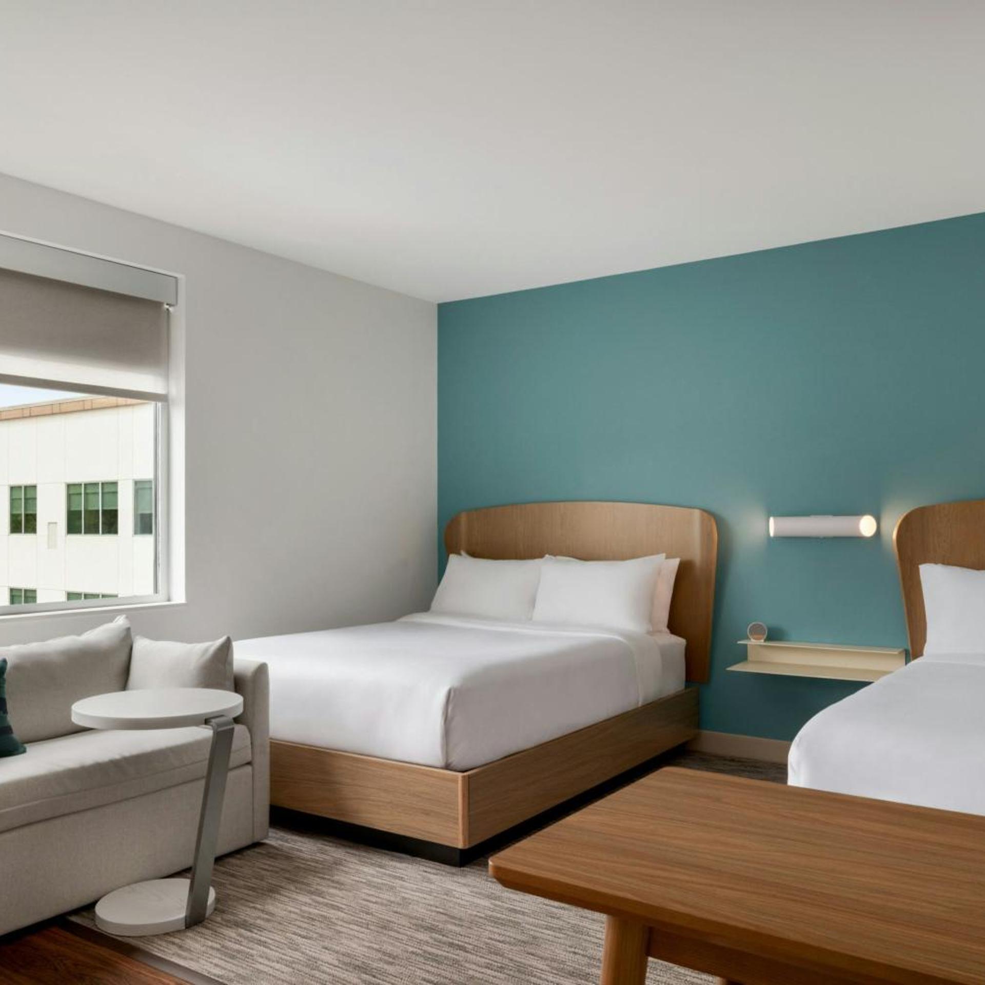 Studio, Queen Bed, Sofa, Accessible