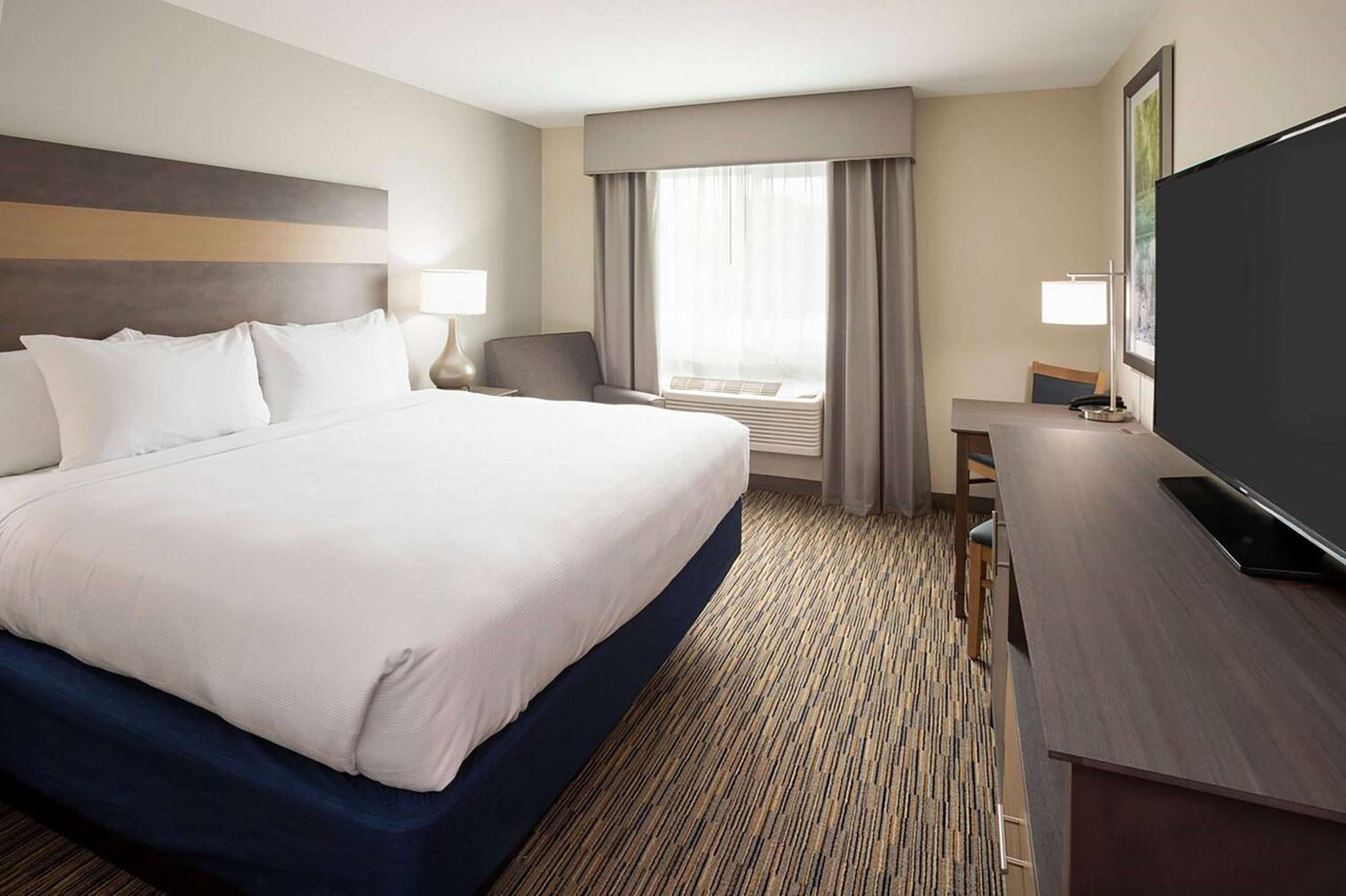 1 Bedroom, Executive, Suite, King Bed