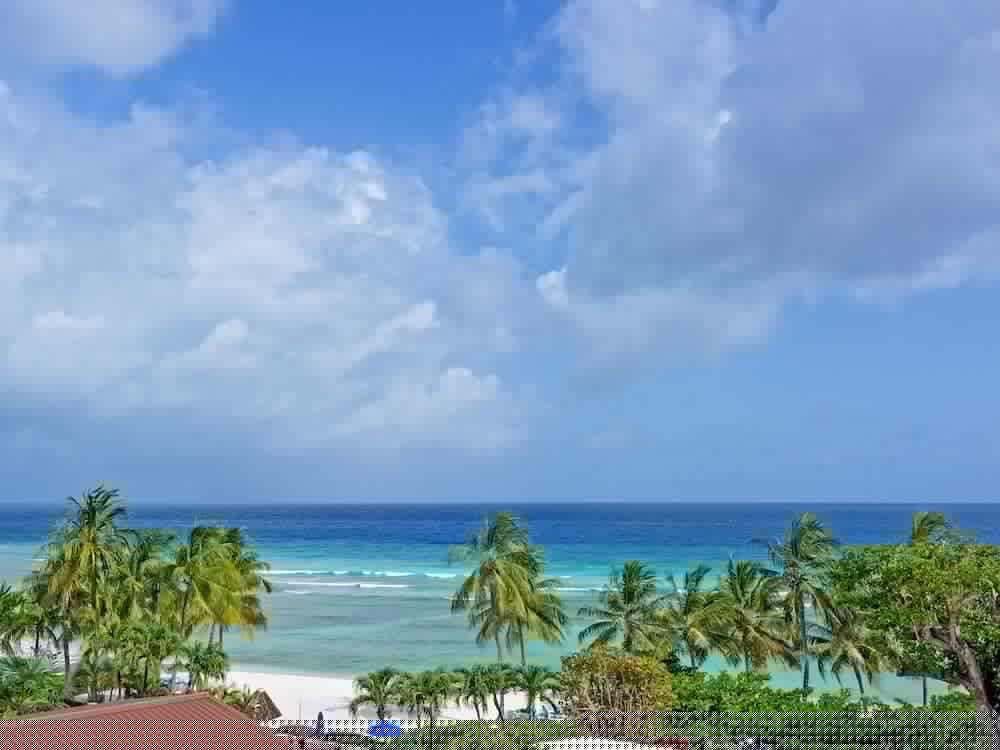 Coconut Court Beach Hotel 41/50