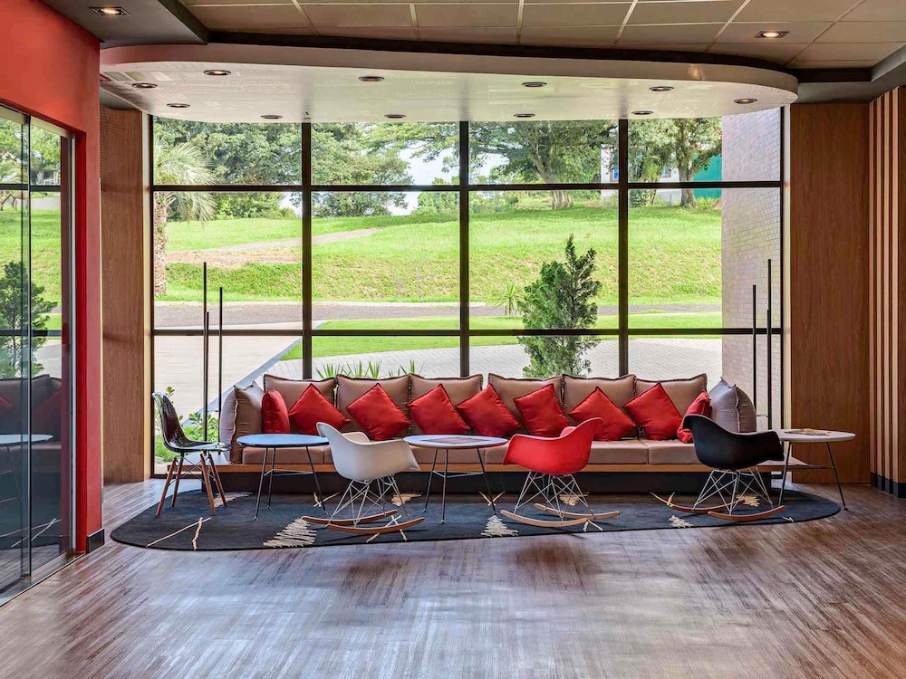 Ibis Guaiba 31/50