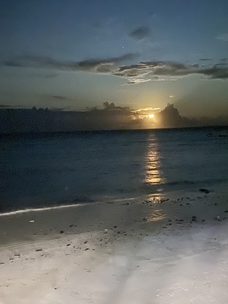 Arthotel Zanzibar 40/50