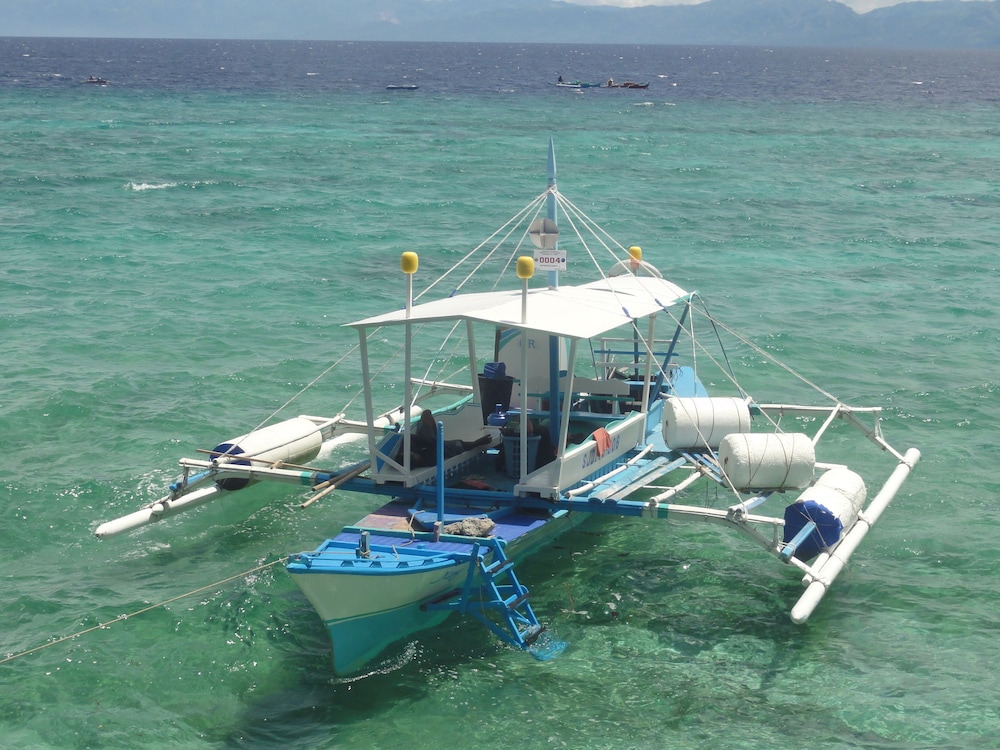Sea Turtle House 45/50