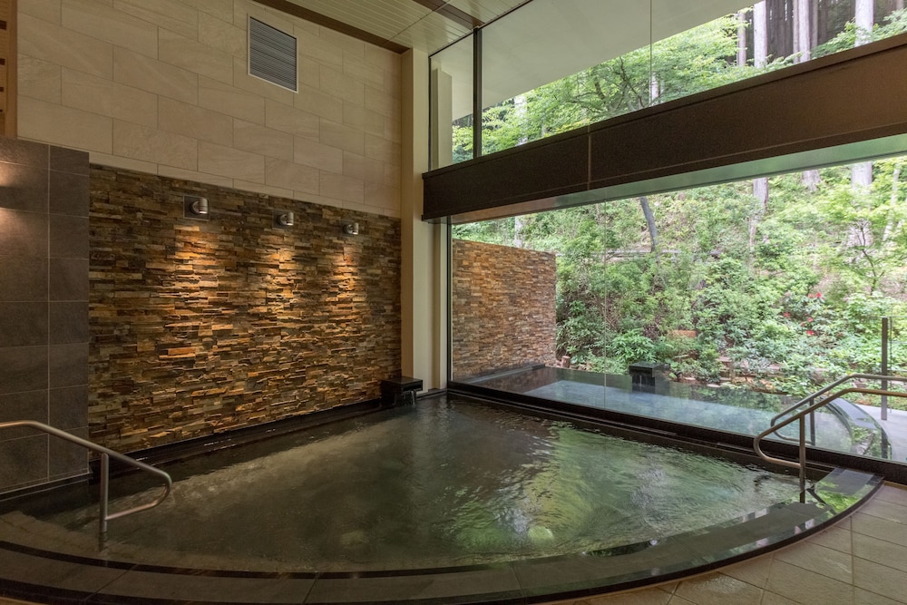 Hotel de Yama, Hakone Lakeside 28/66