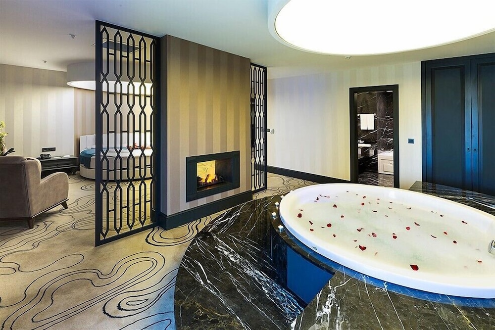 Premier Inn Sakarya 38/75