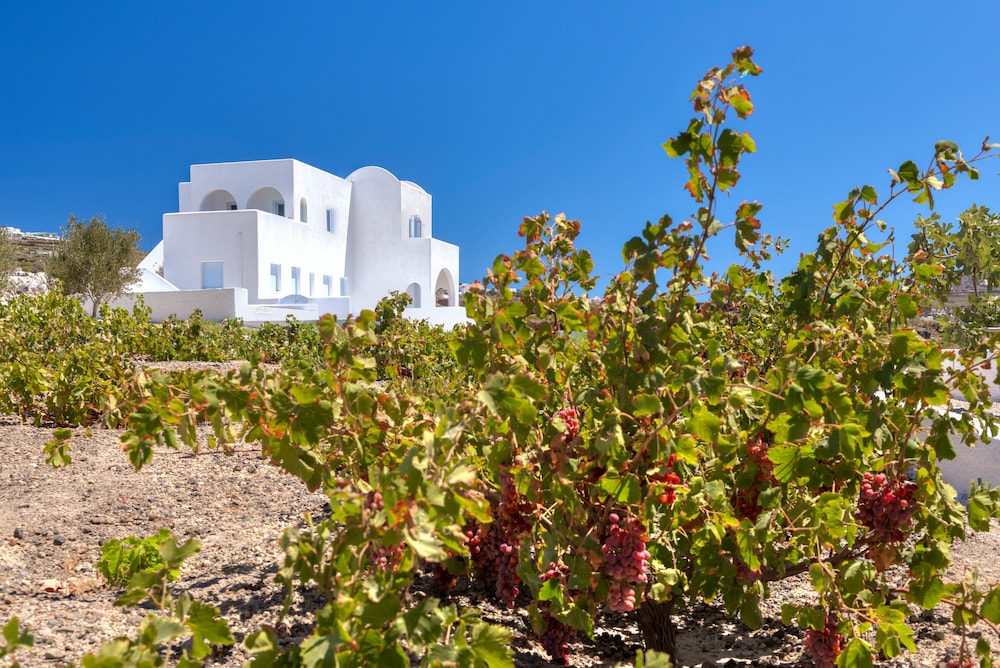 Blanca Luxury Villa 18/22