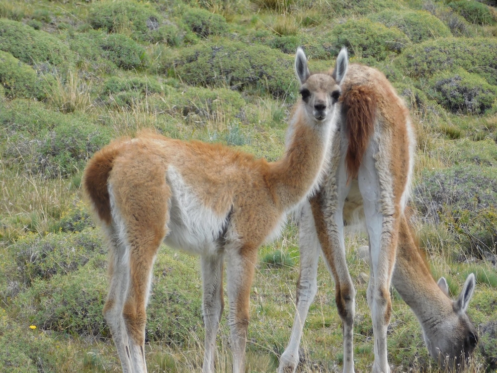 Hotel del Paine 38/41