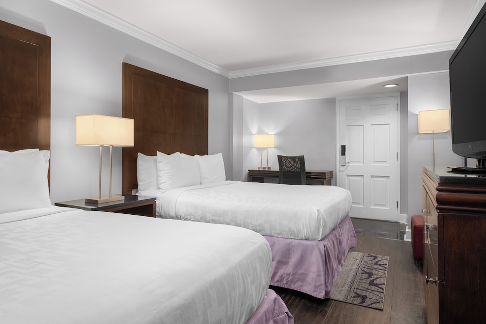 Hotel Le Marais 20/62