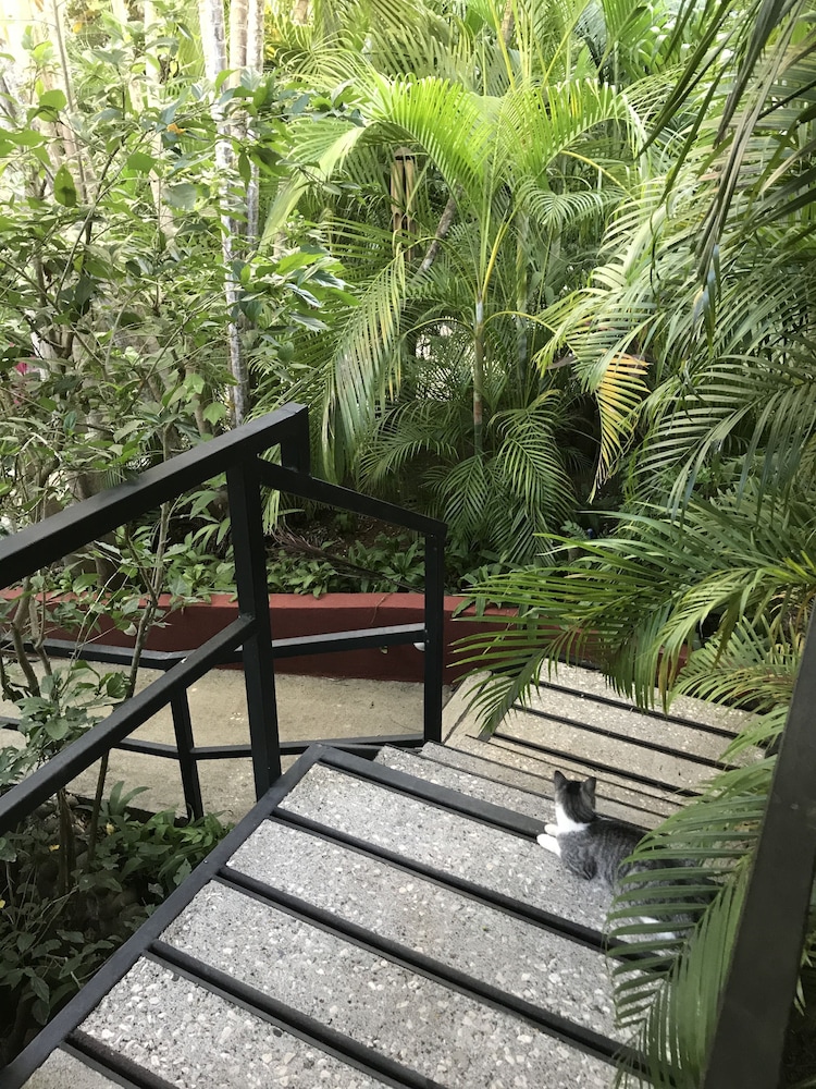 Hotel Tamarindo Village 44/74