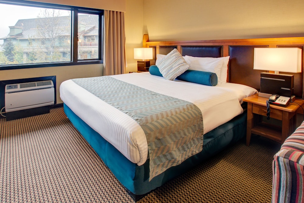 STUDIO, SUITE, KING BED, SOFA