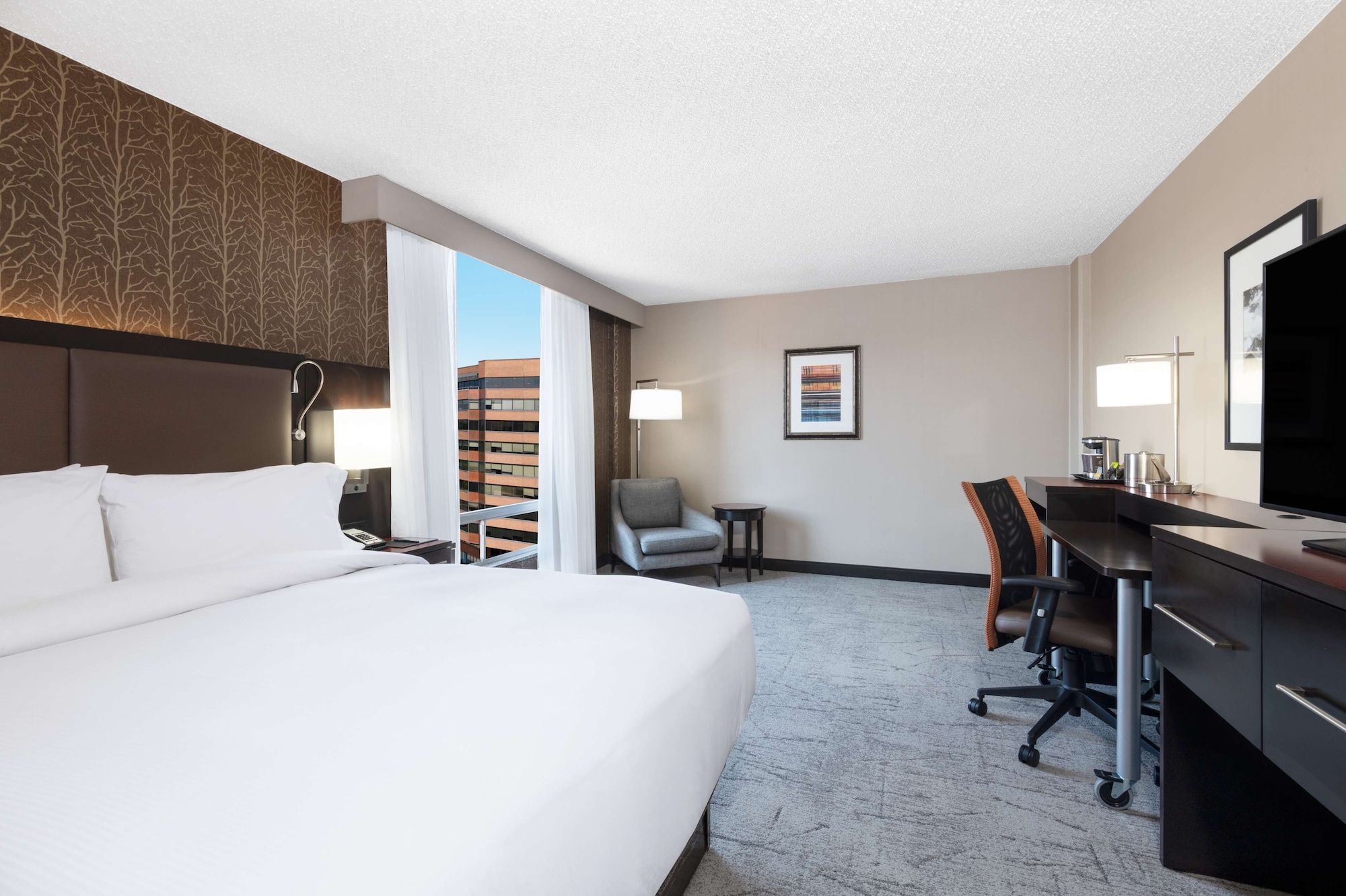 ROOM, QUEEN BED, ACCESSIBLE