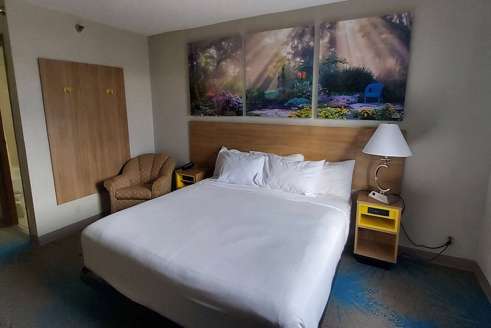 Room, King Bed